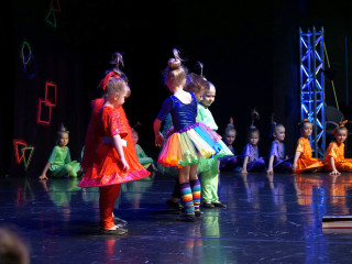 Foto 240042 im Album