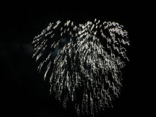 Foto 24005 im Album
