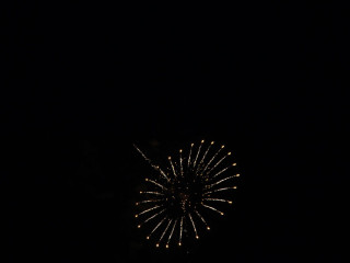Foto 24011 im Album