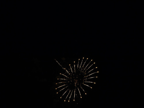 Selber Heimat- und Wiesenfest – Foto 405