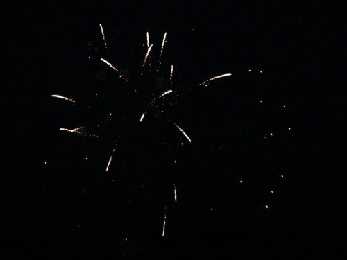 Selber Heimat- und Wiesenfest – Foto 407