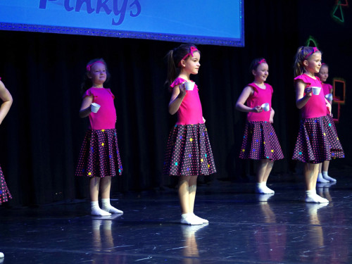 Gala 40 Jahre Soul-City-Dancers by the Arts Sonntag 2.2.2019 – Foto 8