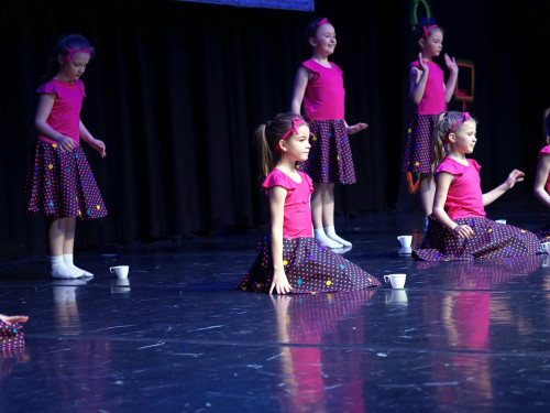 Gala 40 Jahre Soul-City-Dancers by the Arts Sonntag 2.2.2019 – Foto 10