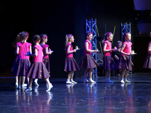 Gala 40 Jahre Soul-City-Dancers by the Arts Sonntag 2.2.2019 – Foto 11