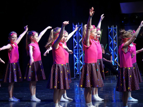 Gala 40 Jahre Soul-City-Dancers by the Arts Sonntag 2.2.2019 – Foto 24