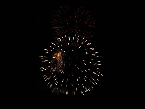 Selber Heimat- und Wiesenfest – Foto 412