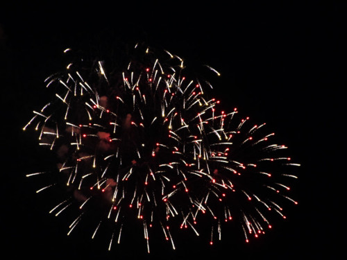 Selber Heimat- und Wiesenfest – Foto 418