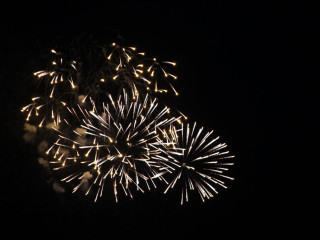 Foto 24026 im Album