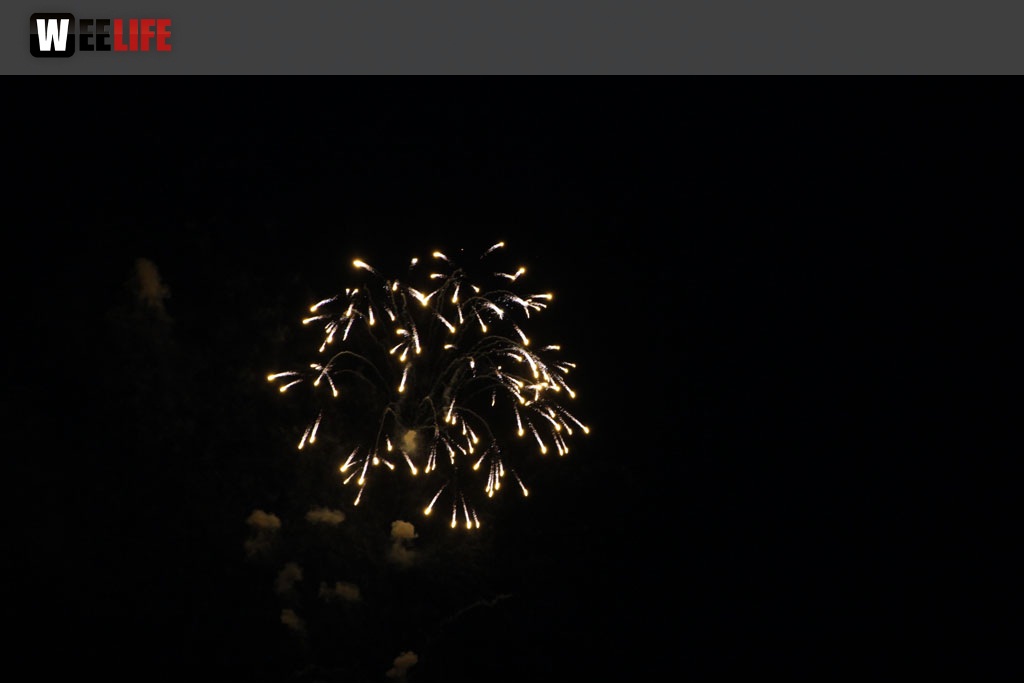 Selber Heimat- und Wiesenfest