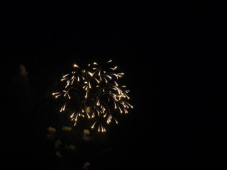 Foto 24028 im Album