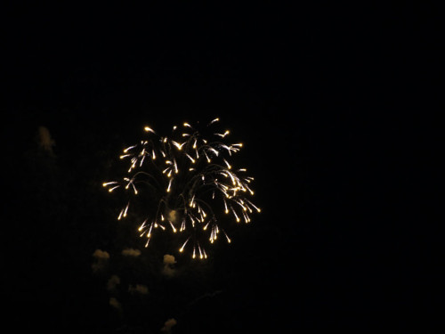 Selber Heimat- und Wiesenfest – Foto 421