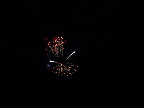 Selber Heimat- und Wiesenfest – Foto 422