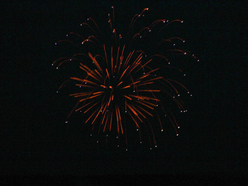 Selber Heimat- und Wiesenfest – Foto 423