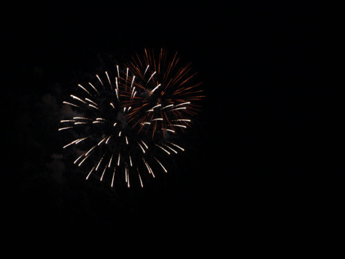Selber Heimat- und Wiesenfest – Foto 428
