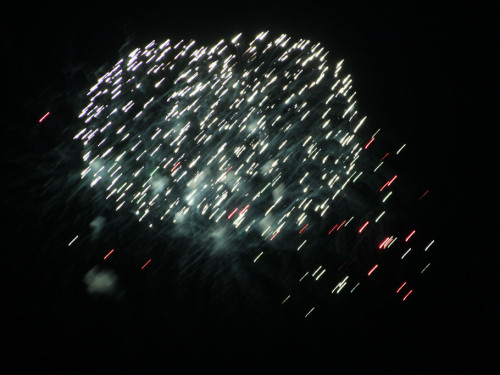 Selber Heimat- und Wiesenfest – Foto 434