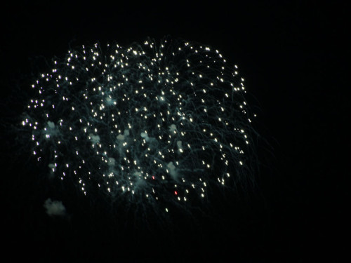 Selber Heimat- und Wiesenfest – Foto 435