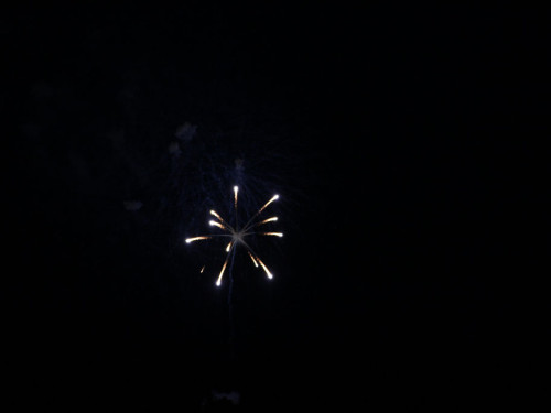 Selber Heimat- und Wiesenfest – Foto 436