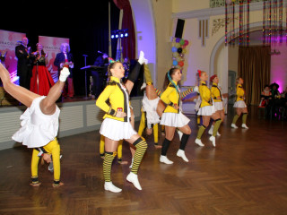 Foto 240493 im Album
