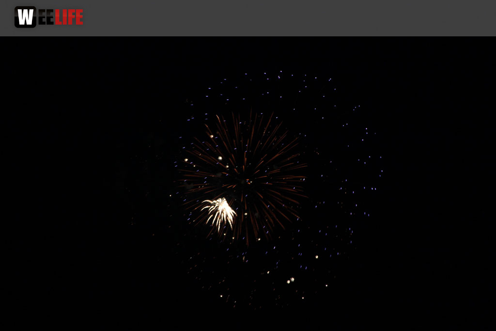 Selber Heimat- und Wiesenfest