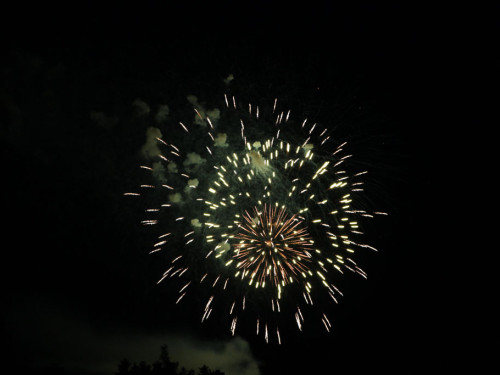 Selber Heimat- und Wiesenfest – Foto 441