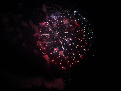 Selber Heimat- und Wiesenfest – Foto 446