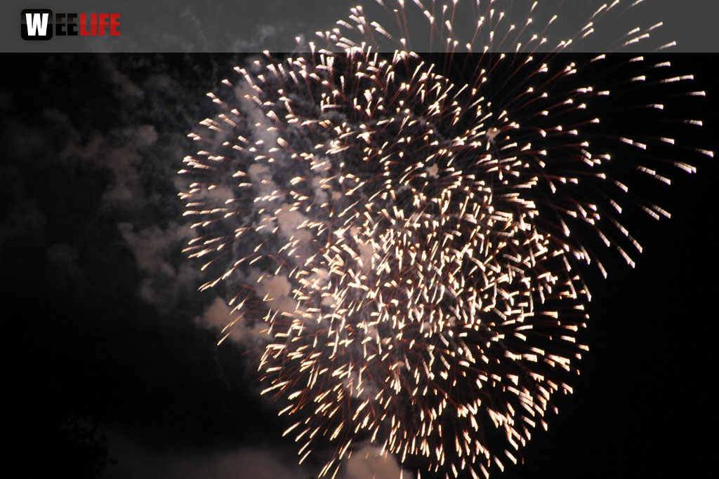 Selber Heimat- und Wiesenfest