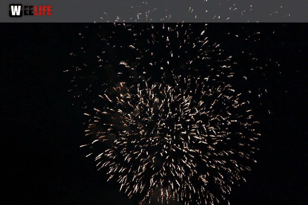Selber Heimat- und Wiesenfest