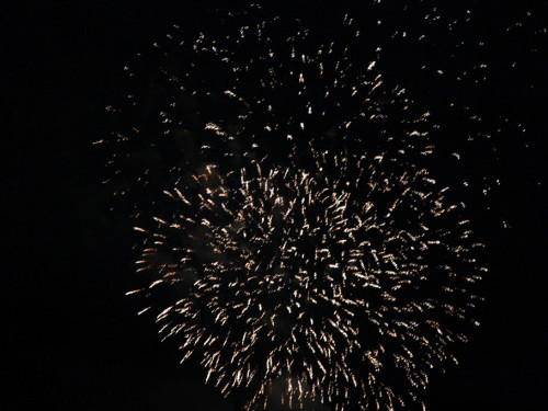 Selber Heimat- und Wiesenfest – Foto 450