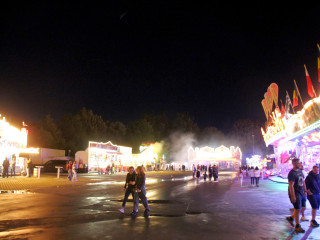 Foto 242175 im Album