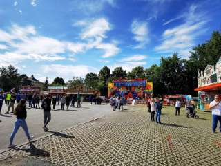 Vorschau des vorherigen Fotos