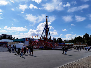 Foto 242265 im Album