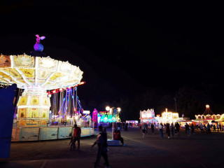 Foto 242373 im Album