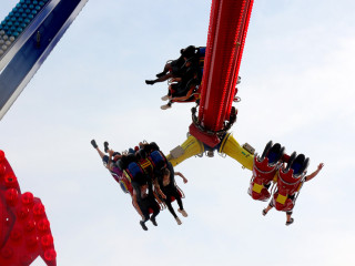 Foto 242413 im Album