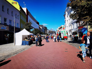 Foto 242516 im Album
