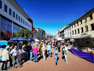 Foto 242521 im Album