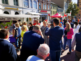 Foto 242538 im Album