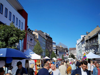 Foto 242545 im Album