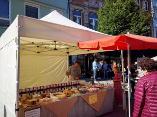 Foto 242559 im Album