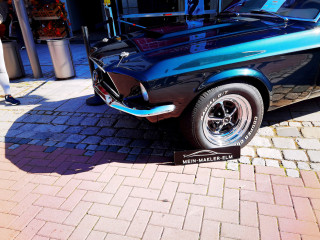 Foto 242569 im Album