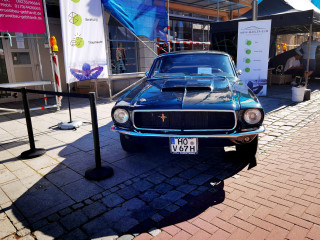 Foto 242634 im Album