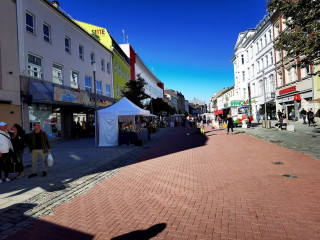 Foto 242648 im Album