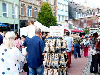Foto 242685 im Album