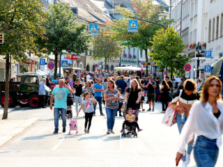 Foto 242723 im Album