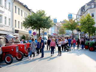 Foto 242725 im Album