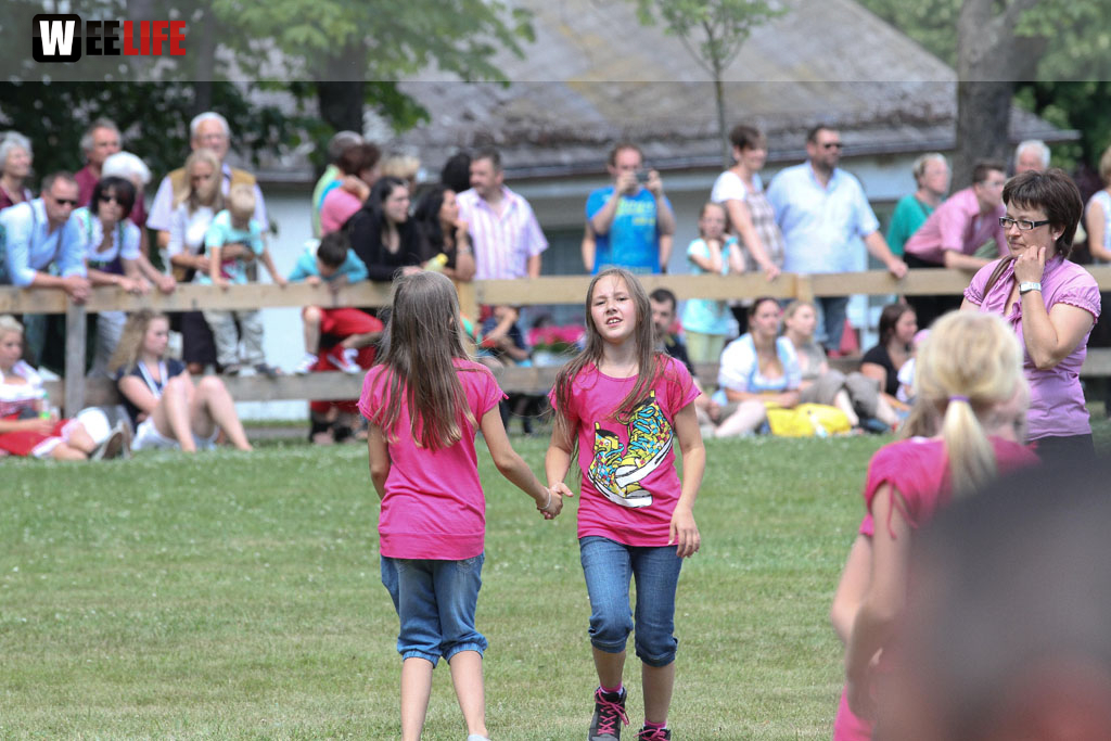 Selber Heimat- und Wiesenfest