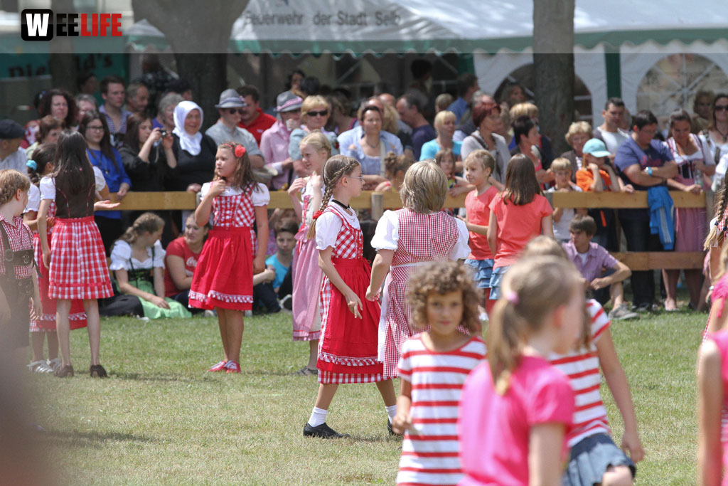 Selber Heimat- und Wiesenfest