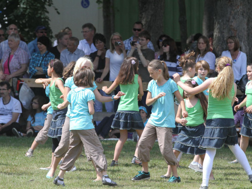Selber Heimat- und Wiesenfest – Foto 35