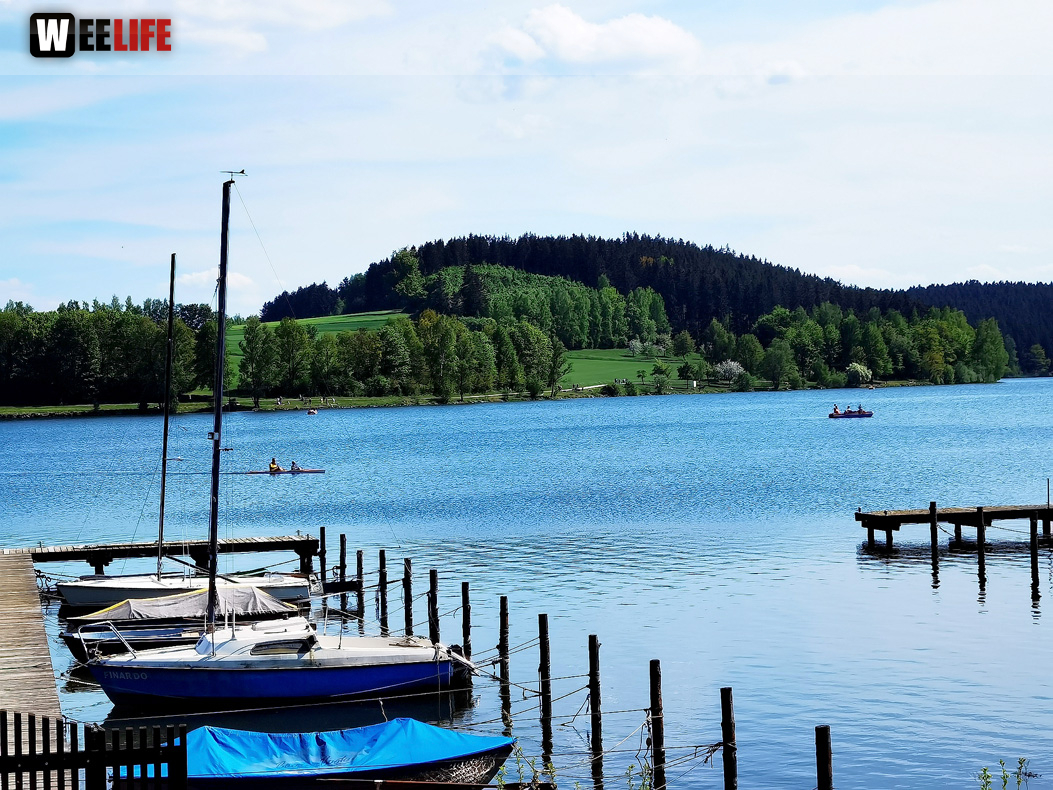 Untreusee 15.5.2022