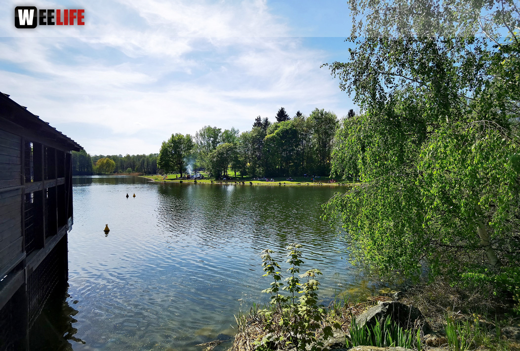 Untreusee 15.5.2022