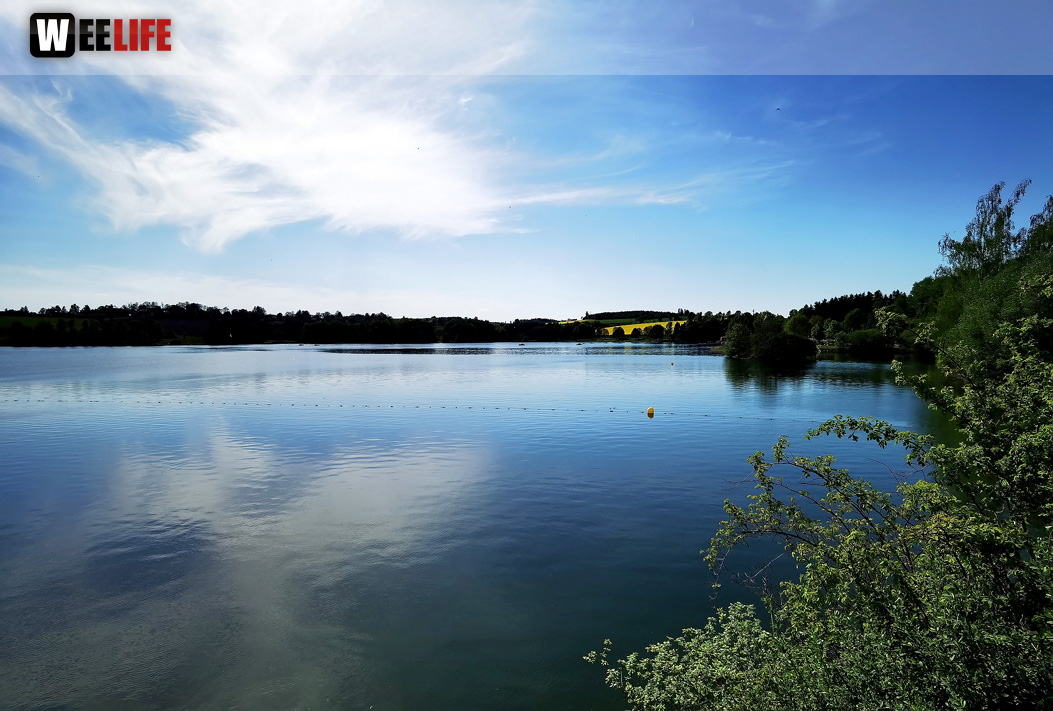 Untreusee 15.5.2022